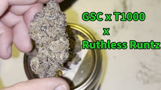 Homegrown Flight Risk Strain Showcase