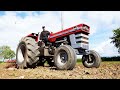 Massey Ferguson 1130 in the field with Disc-Cultivator at Ferguson Days 2023
