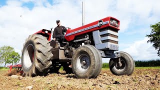 Massey Ferguson 1130 in the field with Disc-Cultivator at Ferguson Days 2023