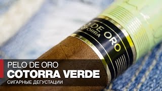 Курим российские сигары Pelo de Oro Cotorra Verde // Обзор и отзывы Курим российские сигары Pelo de Oro Cotorra Verde // Обзор и отзывы