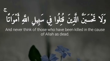 سعد التوم السبيعي سورة آل عمران