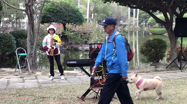 楊咩咩-流浪的吉普賽姑娘_20240128民主議政園區日月池畔龍騰虎躍樂聲悠揚草地慈善音樂會 - 天天要聞