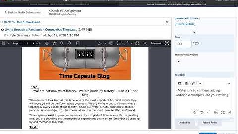 How Do I Use the Assignment Assessment Tools