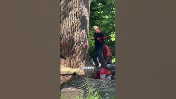 Lumberjacks epische mislukking vastgelegd op camera! #kort