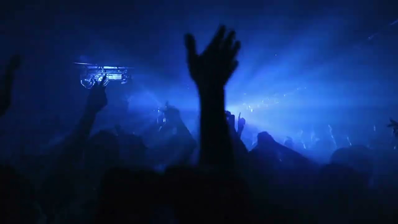 Subspect - Need [Music Video]