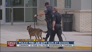 Teen arrested after pellet gun found in school