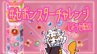 【お絵描き】セボンスターチャレンジしようぜ配信【第３回】