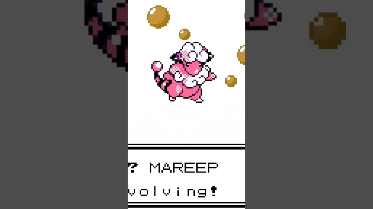 Baa Baa Mareep #pokemon #pokemongo #nintendo #pokémon #pokemongold #shinypokemon #gaming #retro #fun