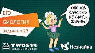 ЕГЭ по биологии. Вариант № 1 – задание 27