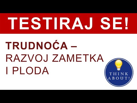 Video: Što se događa tijekom razdoblja embrija?