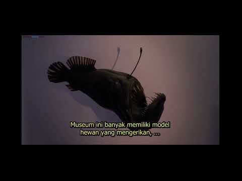 David Attenborough And The Prehistoric Snake Gigantophis 