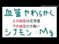 血管を柔らかくするマグネシウムとシナモン！血圧は正常値になったが下の血圧が高いのはなぜ？原因は