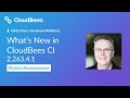 What’s New in CloudBees CI 2.263.4.1