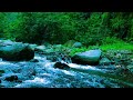 Continuous Heavy River Flow Natural White Noise for Sleep
