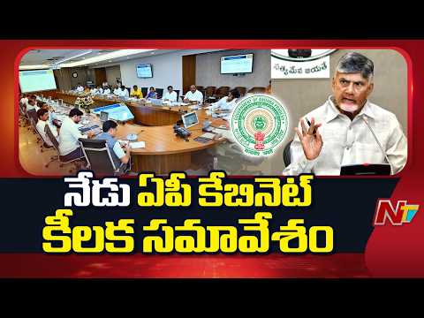 AP Cabinet Meeting Today | Land Allotment to Several Firms Likely | CM Chandrababu | NTV Telugu - NTVTELUGU