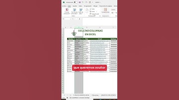 OCULTAR Y MOSTRAR COLUMNAS EN EXCEL