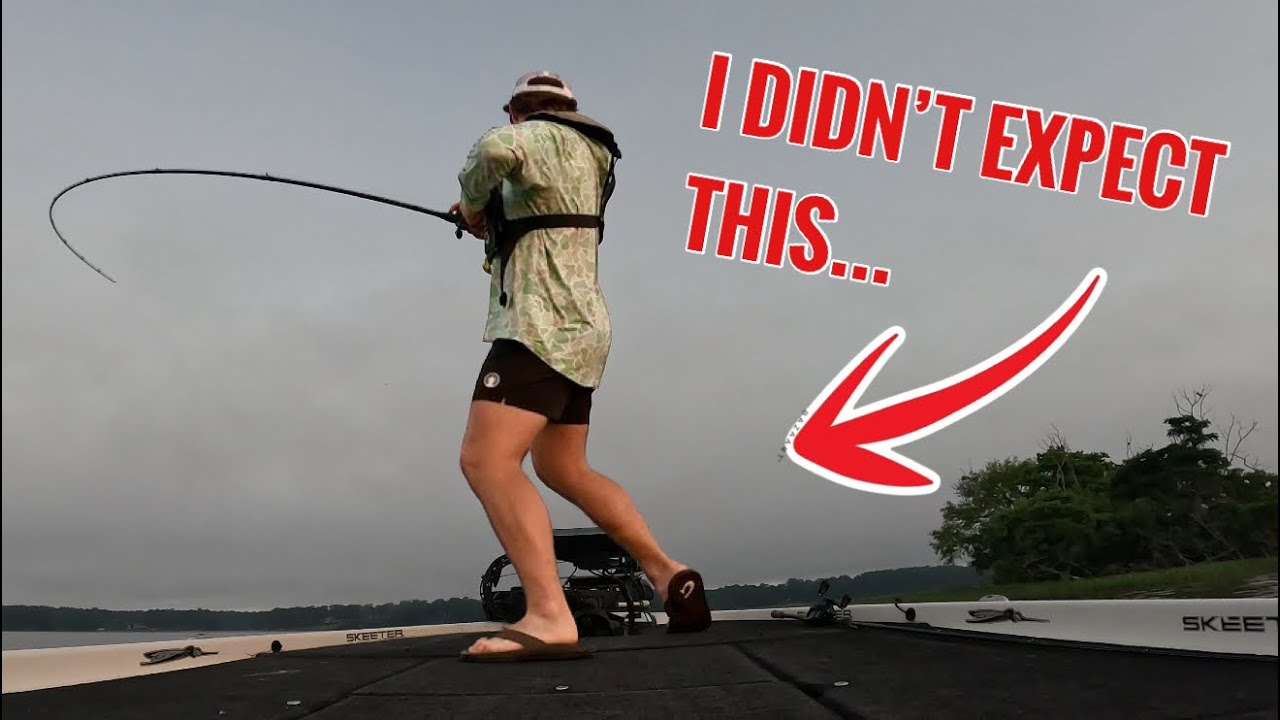 MOST UNEXPECTED FISH… (FIVE BASS Limit before 6AM)