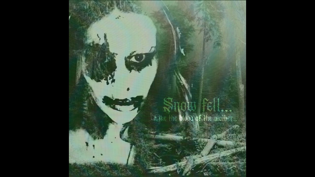 Snow Fell... | DSBM | Verminex