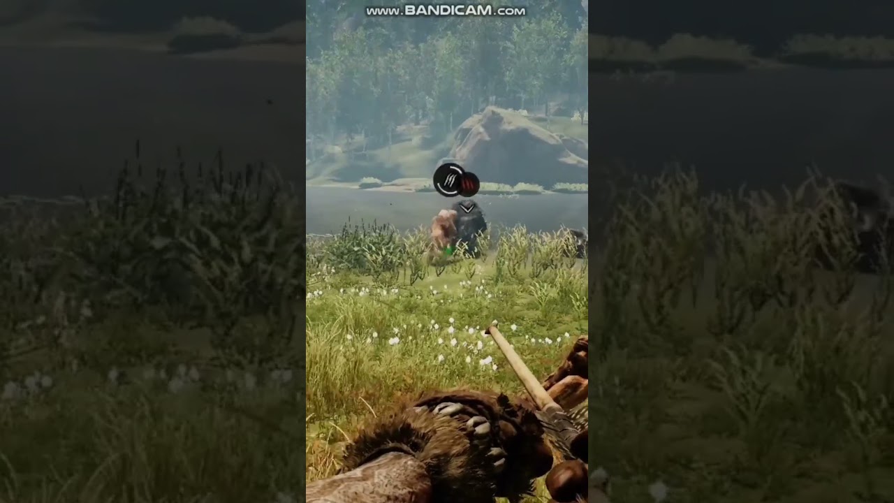 ( sabertooth tiger vs rhino) in far cry primal gameplay 