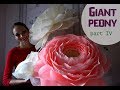 Giant crepe paper peony | Flower with place for present | Part 4. English subtitles