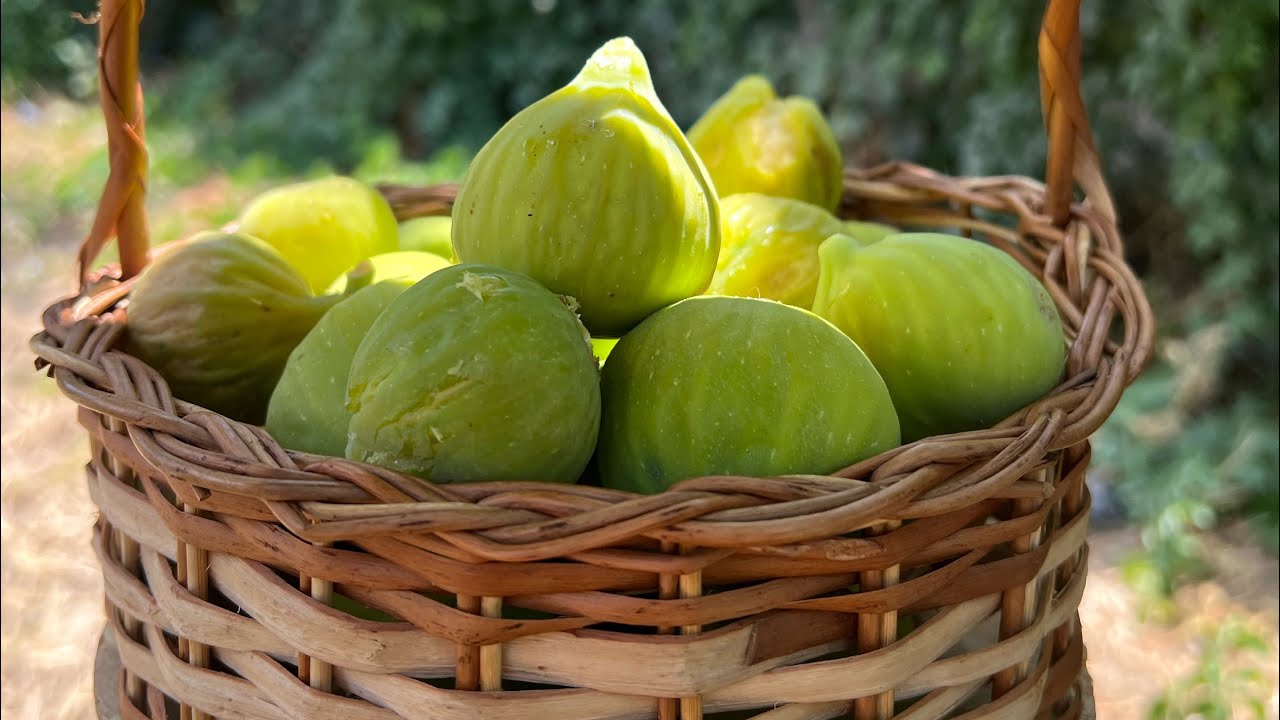 روتين ريفي جزائري 🏡 | طبخ على الحطب 🔥 كسرة تقليدية 🫓| تحضير التين المجفف للشتاء ❄️🍈 كدواء طبيعي 🌿