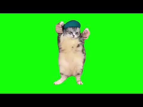 Cat Dancing To Girlfriend 1 Hour Green Screen