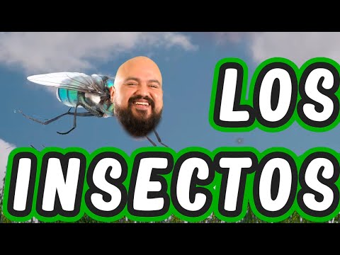 Los INSECTOS - El Tobi