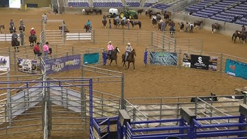 Team Sorting #9 1st Go Set 1 - 2019 USTPA Panhandle Pen & Sort