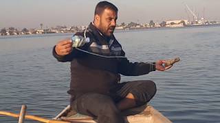كيفية العلفات للصيد في السليه في شط العرب