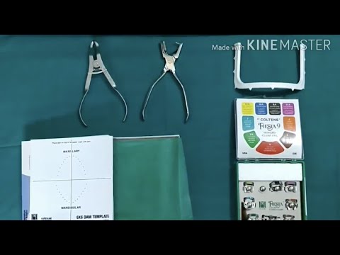 Introduction to Rubberdam