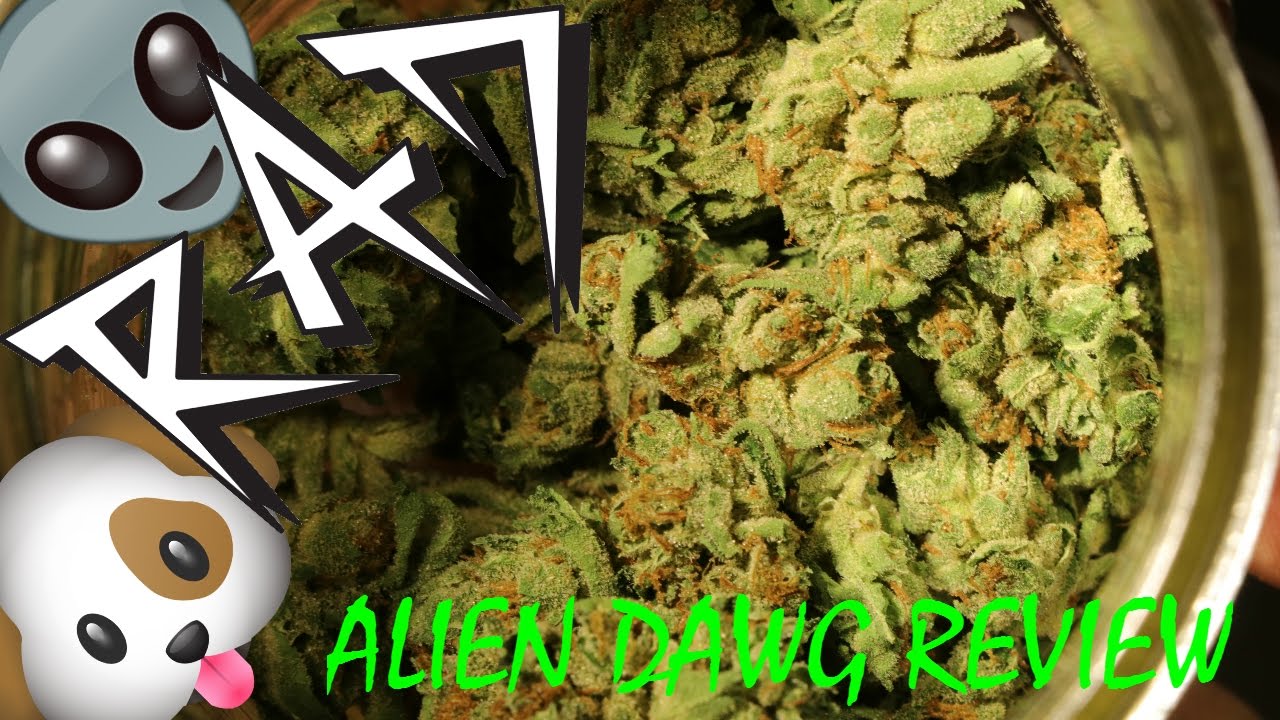 Alien Dawg by Cannway (Aphria Inc.) | Medical Marijuana / Cannabis Strain Review