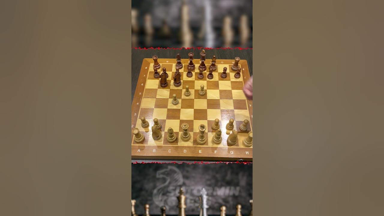 D4 c5 шахматный дебют