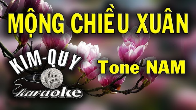 MỘNG CHIỀU XUÂN KARAOKE ( Rumba ) - Tone NAM ( C/Đô trưởng )