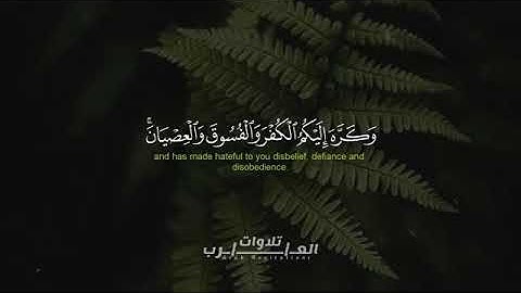 سورة الحجرات كاملة بدون حقوق بصوت القارئ محمد هشام