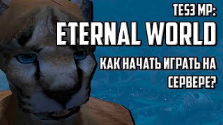 С чего начать играть в Morrowind Online: Eternal World // Приключения кота Бубокла // Прокачка 5 5 1