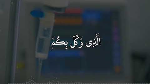 ياسر الدوسري سورة السجدة قُلْ يَتَوَفَّىٰكُم مَّلَكُ ٱلْمَوْتِ ٱلَّذِى وُكِّلَ بِكُمْ