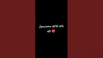 #quran #تلاوة_قرآن #القرآن_الكريم #qurankareem #quranforthesoul #خشوع #تلاوة_مؤثرة #تلاوة_خاشعة #qu
