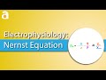 Electrophysiology: Nernst Equation