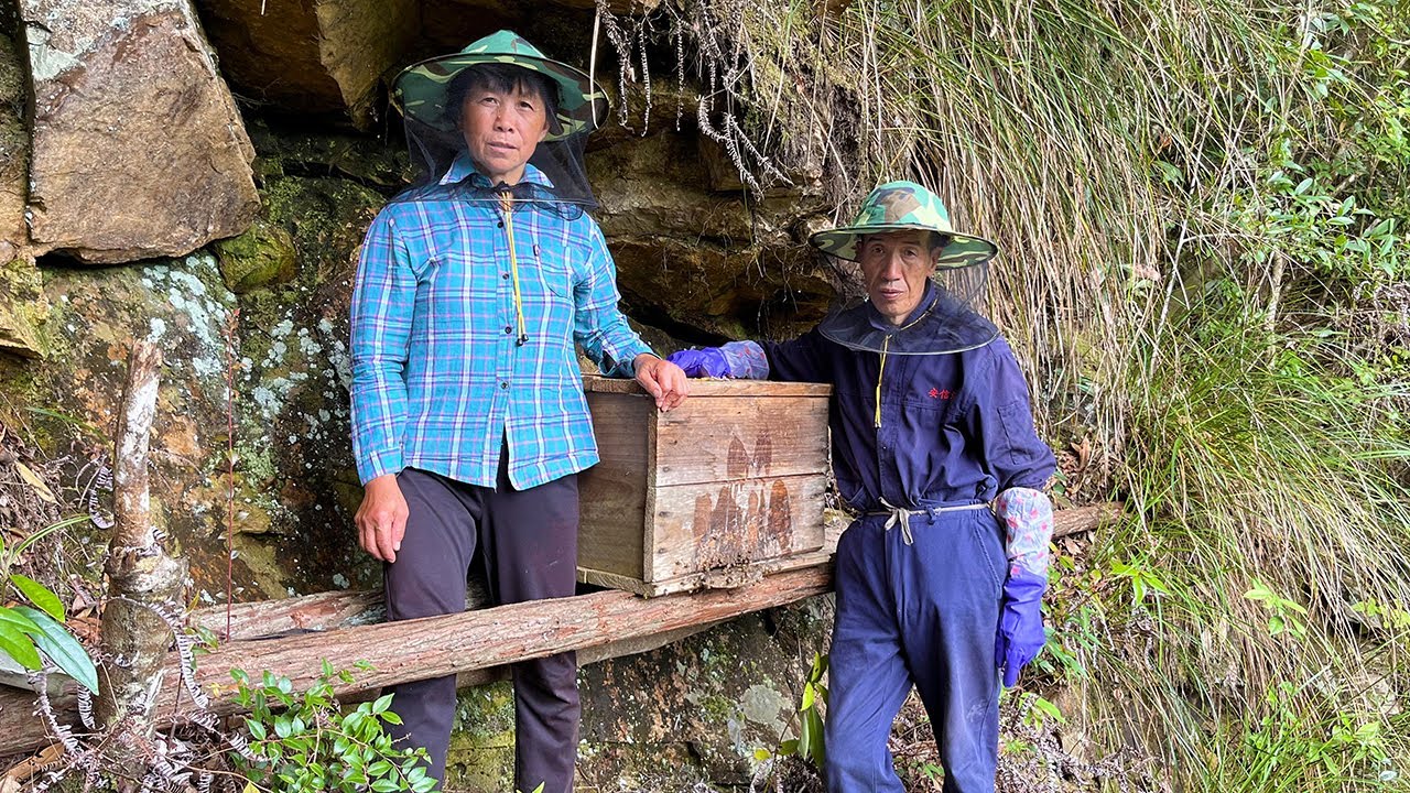 Гонг нарезает мед на скалах и собирает 300 фунтов