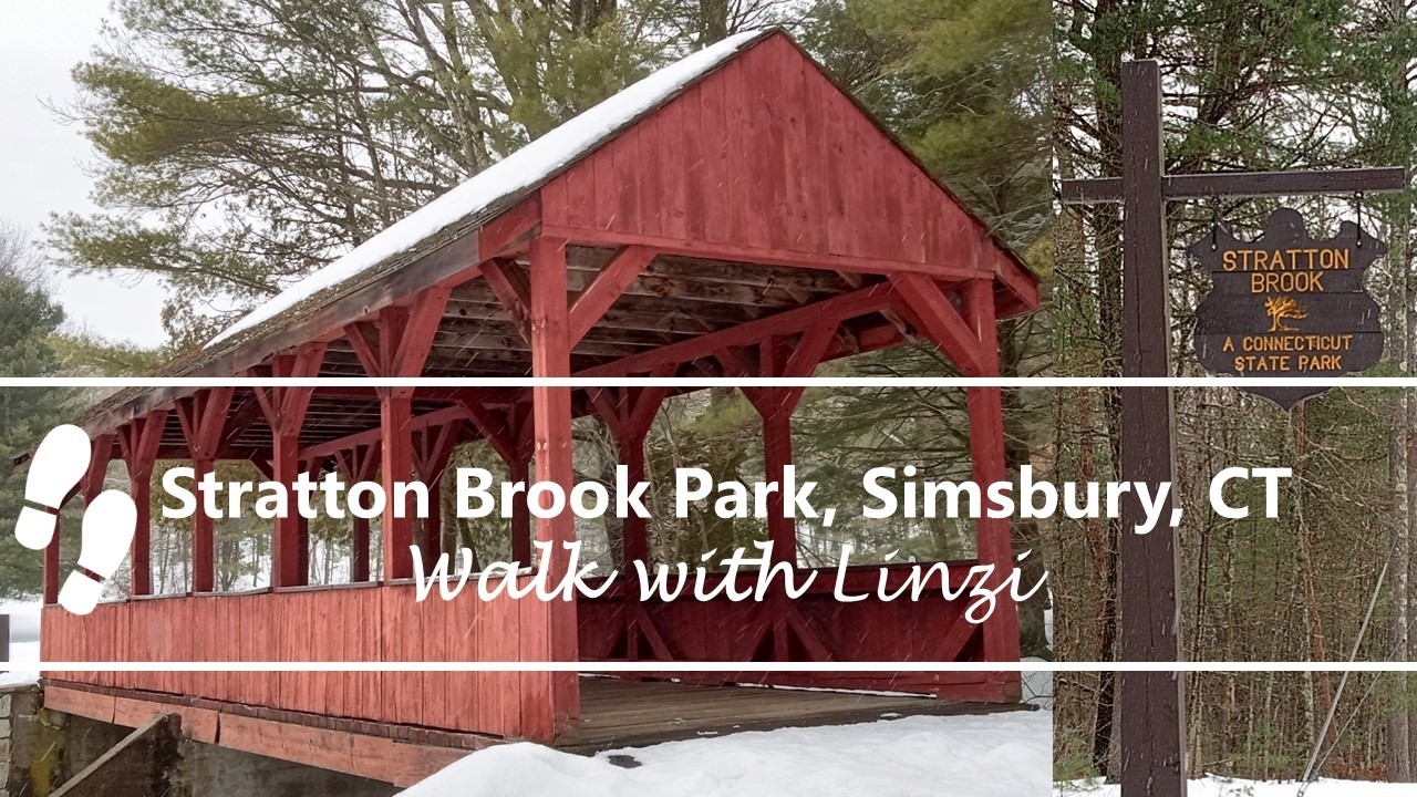 Before the Blizzard, walk with me in a Winter Wonderland in Stratton Brook Park, Simsbury, CT