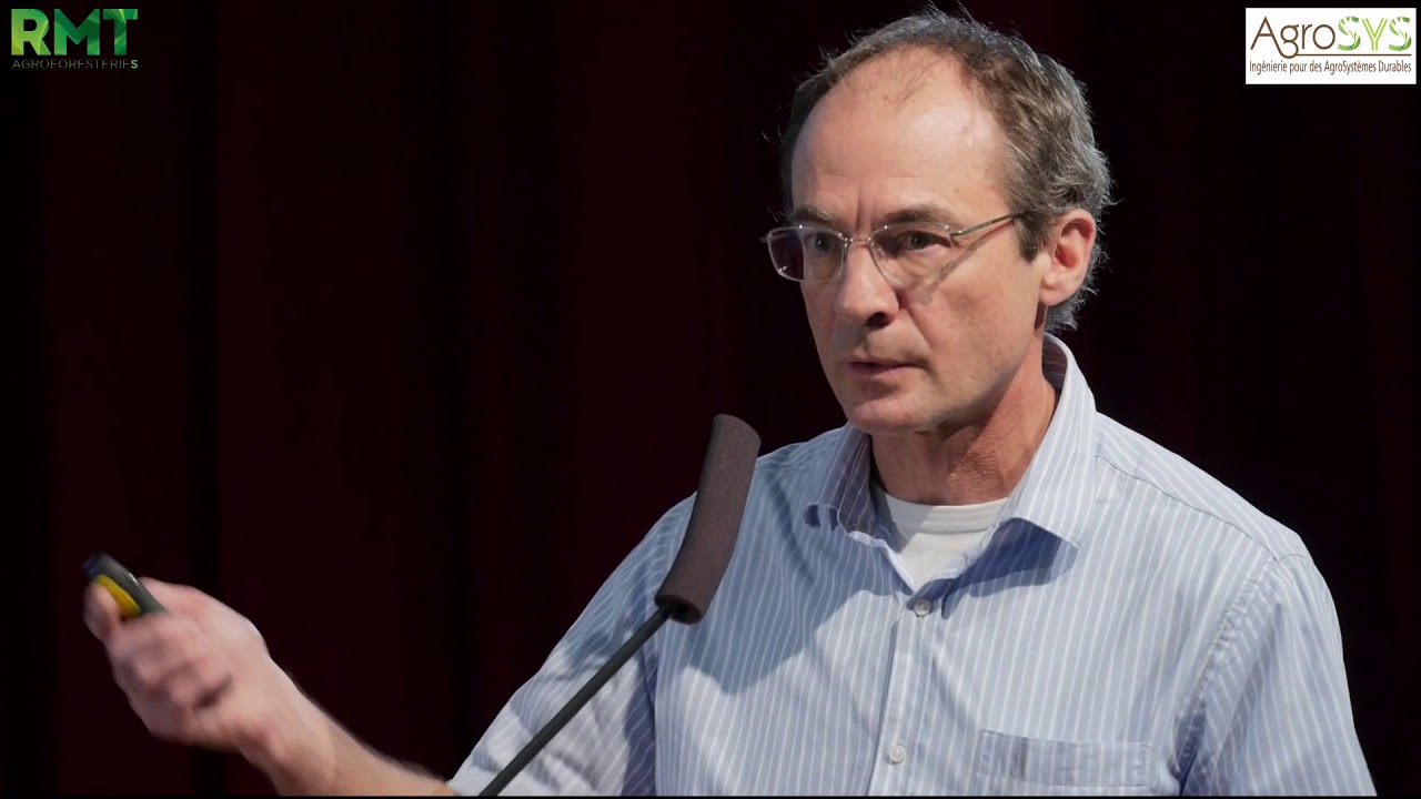 Les grands principes agroécologiques des systèmes agroforestiers