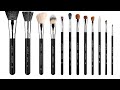 🖌️ The ONLY Brushes You Need! Sigma Beauty Essential 12-Piece Set 🖤