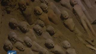 World's oldest tea leaves discovered in NW China
