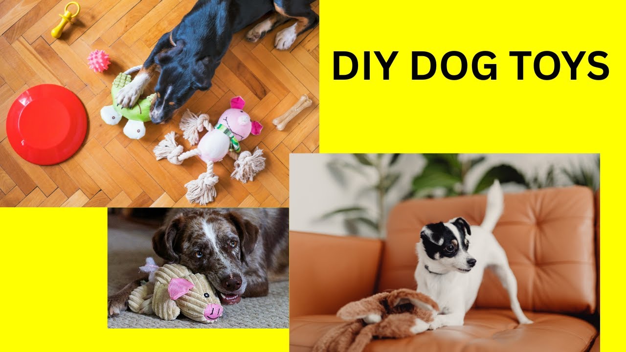 How to Make Toys for Cats And Dogs: Easy DIY Fun Ideas
