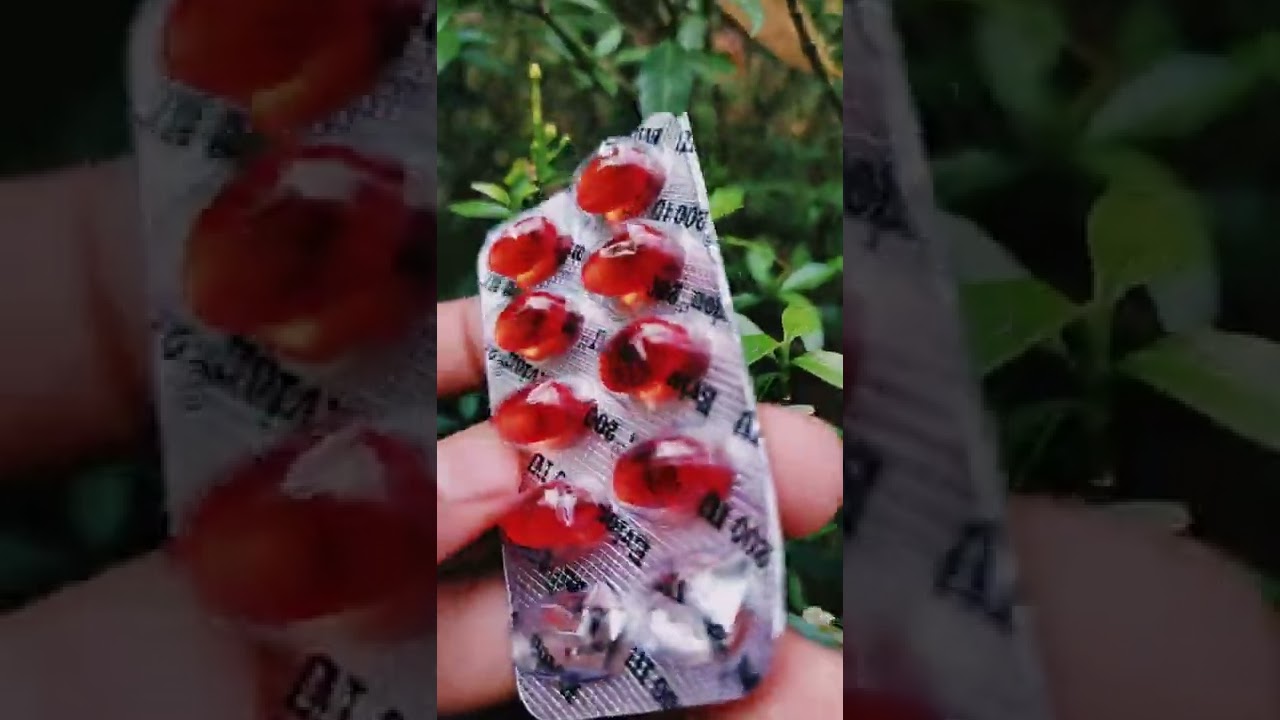 evion 200 കഴിച്ചാൽ പ്രാവ് fast ആയി egg ചെയ്യോ 😱 mr. vlogger   💝  pls subscribe