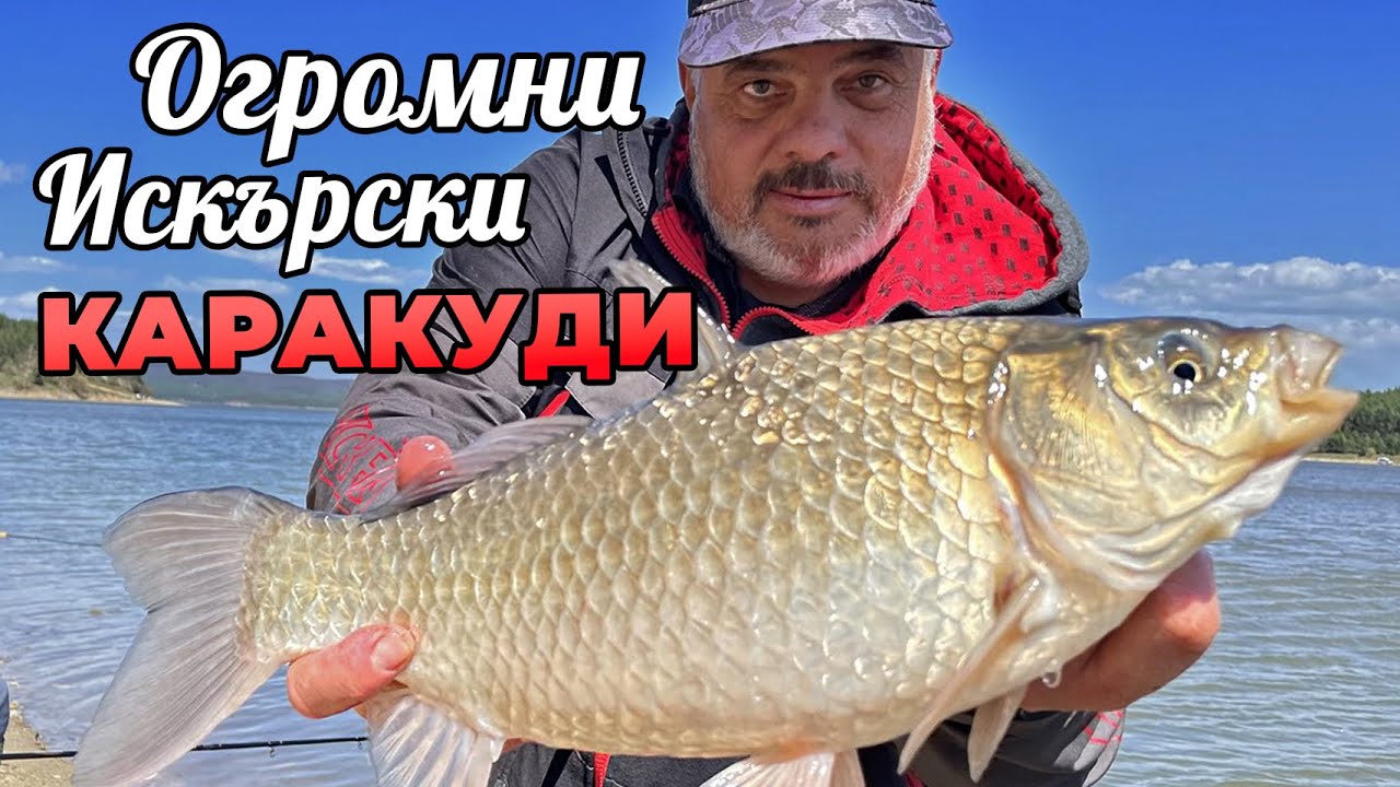 Как да хванем ОГРОМНИ искърски КАРАКУДИ и ПЛАТИКИ на ФИДЕР? / Как да ги излъжем във вятъра? - 3 част