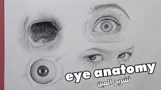 تشريح عين الإنسان | تعلم فن رسم العين بالرصاص : درس تفصيلي للمبتدئين