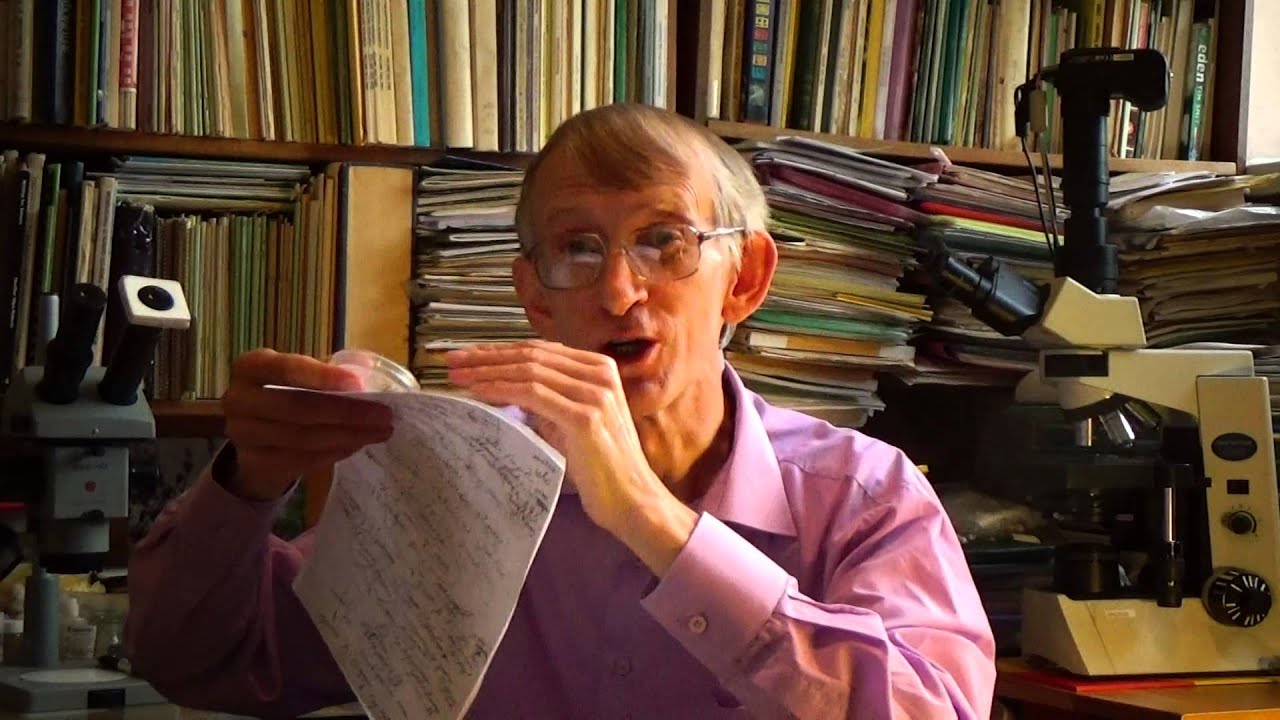 Чудо-Тля Пемфигус Pemphigus spyrothecae На Тополях Populus 26.09.2014