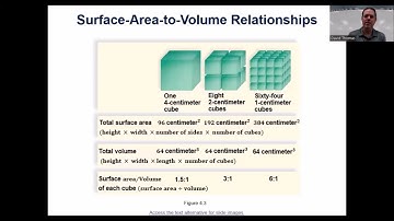 Bio 111 Chapter 4 Cell Structure and Function