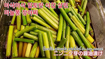 醤油漬け Youtube